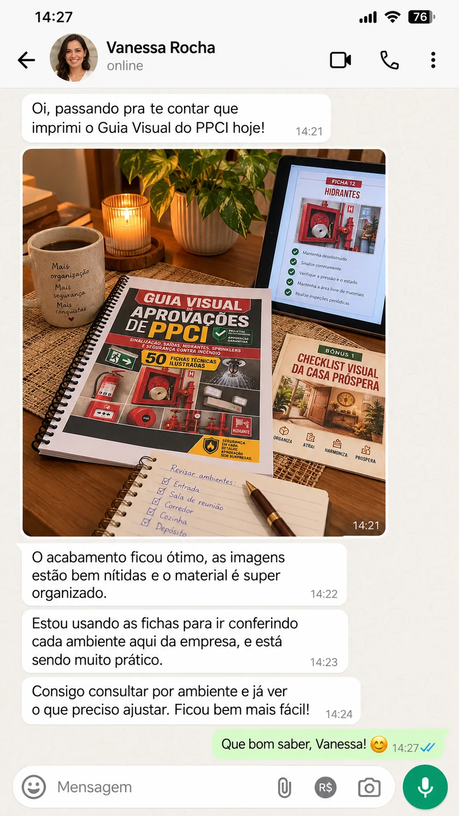 Print de conversa: cliente relatando uso do Guia Visual de PPCI